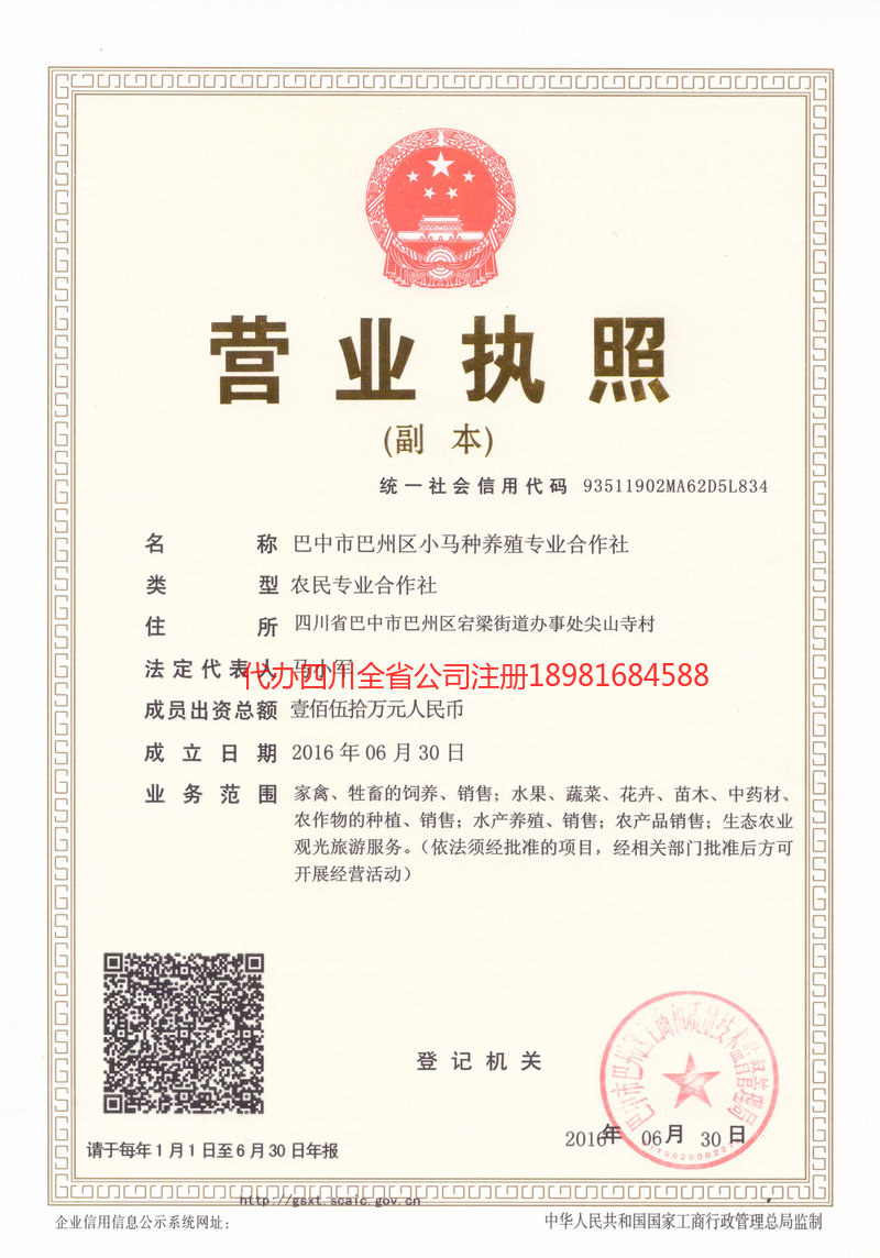 汉川汉川小马种养殖专业合作社